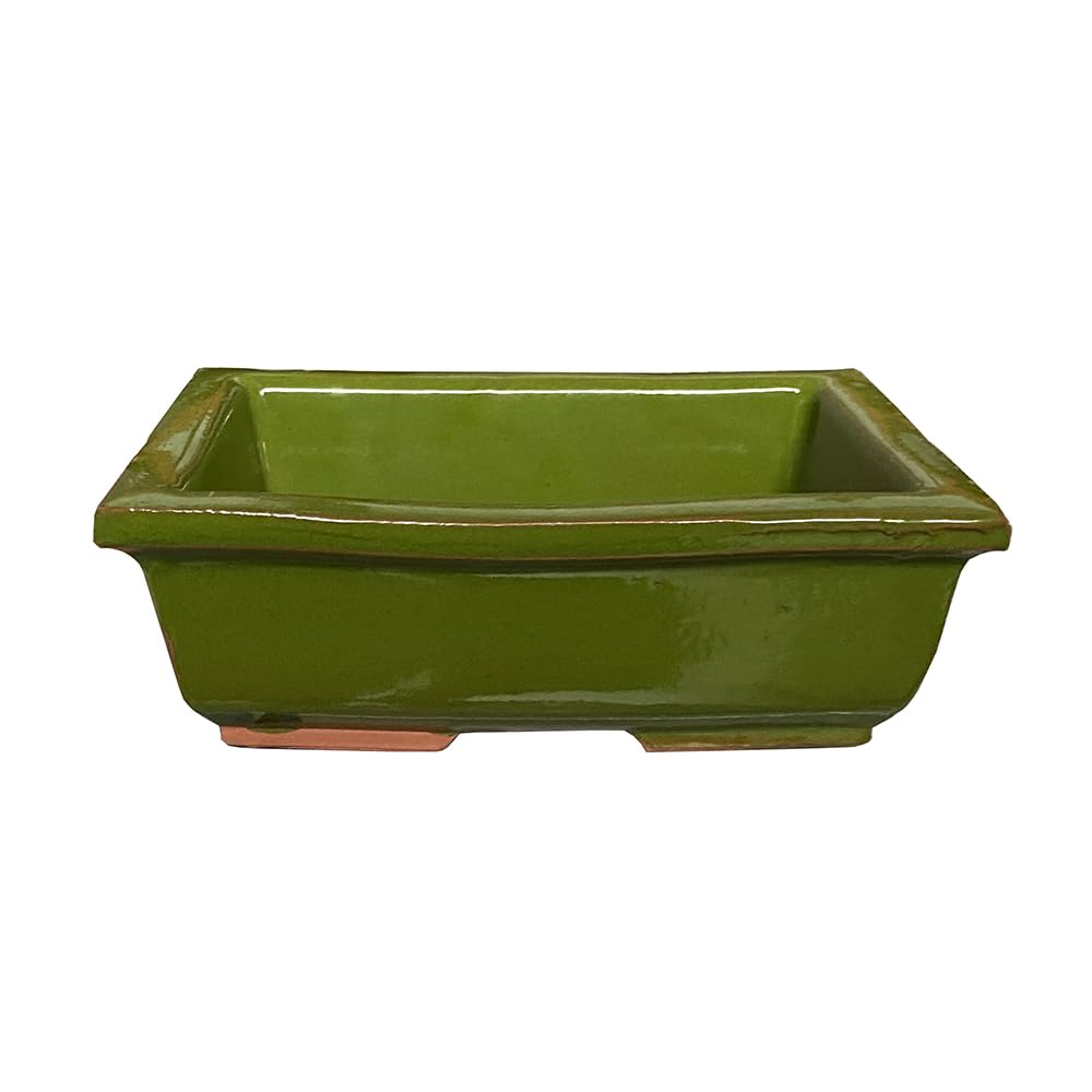 KORMAX Maceta Bonsai Ceramica Verde n2 22x15 cm