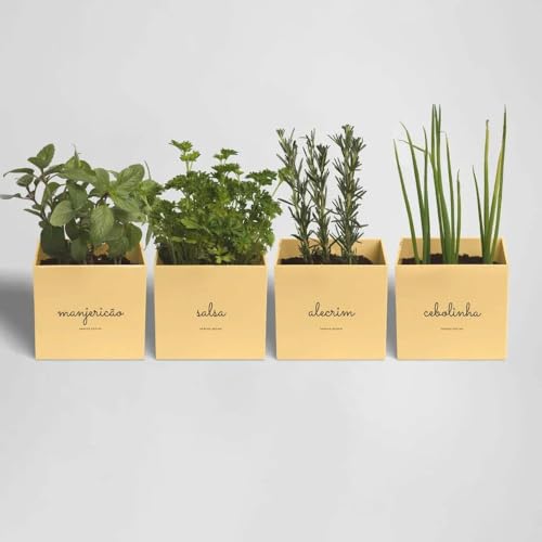 Kit Plantio Completo Minha Horta Plástico Vaso Autoirrigável Substrato Sementes Jardim Hortaliças (C