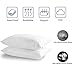 downluxe Goose Feather and Down Pillows - Hotel Collection Feather Pillows Set of 2 for Back, Stomach or Side Sleepers, Queen Size (20