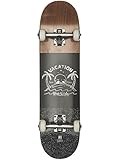 longboard globe pinner cruiser Resistente para disfrutar de la libertad de movimiento