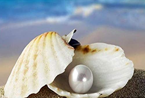 Peinture au diamant 5D coquille de perle kit d'art complet broderie strass 30x40cm