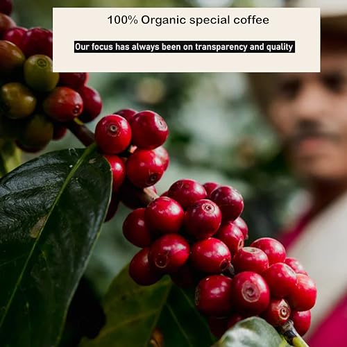 WAYANADAN Kerala 100% Organic Medium Dark Roasted Arabica Freshly Roasted Ground Coffee Powder - Kappi Podi - 150gm