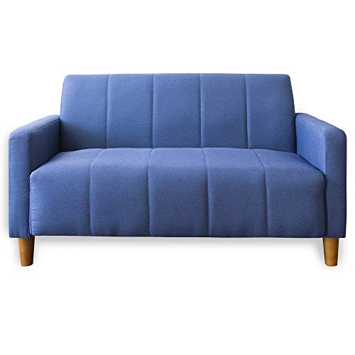 アイリスプラザ ソファ 2人掛け シンプル ブルー 幅113㎝ FBS-2P