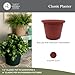 The HC Companies Classic Round Plastic Plant Pot w/Rolled Rim - Lightweight & UV Resistant Flower Pot for Herbs & More - Outdoor & Indoor Plant Pots w/Drainage (24 inch Clay, Pack of 1)