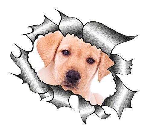 Sticar-it Ltd Rasgado Metálico Pegatina de Coche Muy Monos Golden Retriever Cachorro Labrador Diseño Perro Adhesivo de Vinilo - Múltiple, Small 105x130mm Approx
