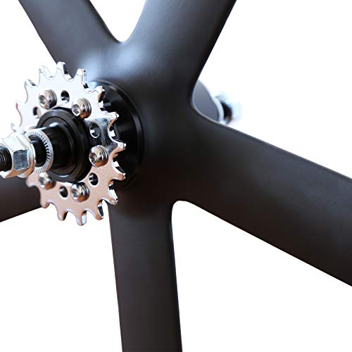 solomone cavalli 700c 5 spoke