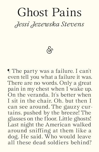 Ghost Pains view 2