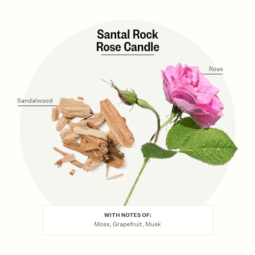Image of Apotheke 3-Wick Candles (Santal Rock Rose, 3-Wick)