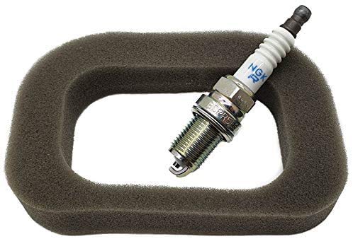 Castel Garden RS100 Sponge Air Filter & Plug Service Kit 118550704/0