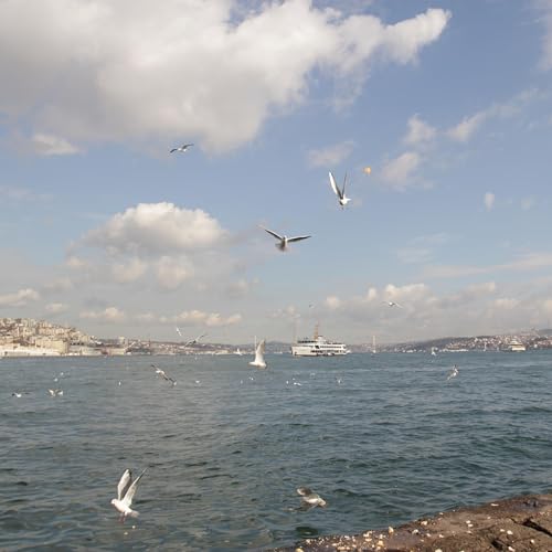 The Future We Imagine!