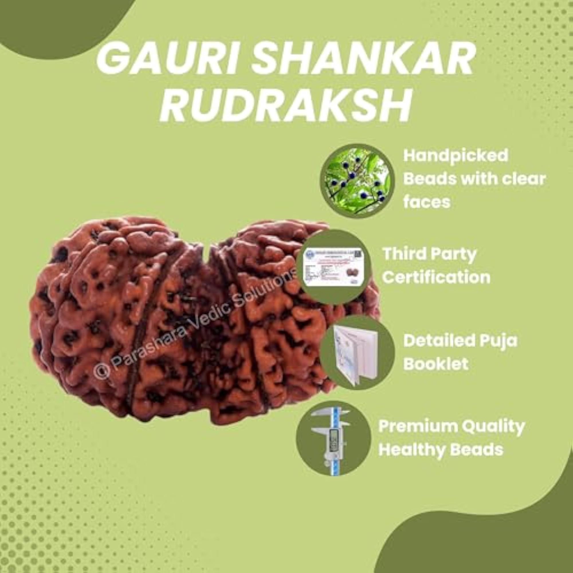 Gauri Shankar Rudraksha Certified Beads