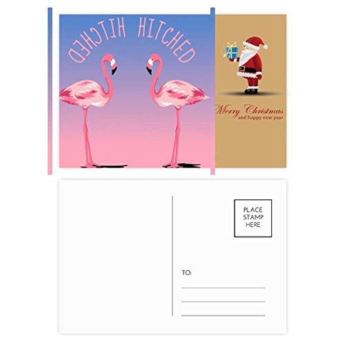 Cartes postales flamants roses pour ne plus jamais manquer de jolies cartes de vœux