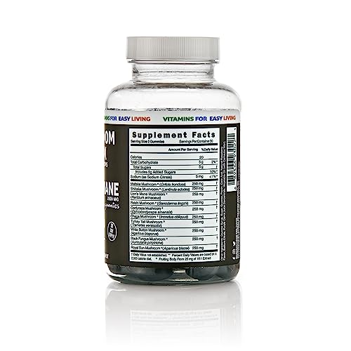 Lions Mane Mushroom Supplement Gummies - 10In1 Mushroom Gummies - Reishi, Cordyceps, Turkey Tail, Maitake, Shitake, Chaga - Immune Defense, Boosts Cognitive Performance, Vegan, Plant Based, 60 Gummies #TOP1