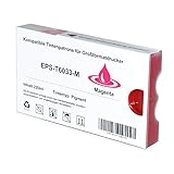 epson stylus pro 7800 driver download mac und zu allen Geräten die laut Bedienungsanleitung C13T603300 verwenden können.