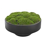 NAHARO New Moss Bowl, Handmade Ceramic. 11' Artificial Moss Bowl Centerpiece for Home...