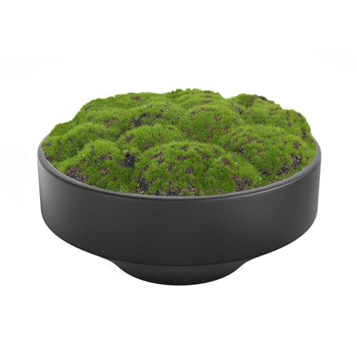 NAHARO New Moss Bowl, Handmade Ceramic. 11' Artificial Moss Bowl Centerpiece for Home...