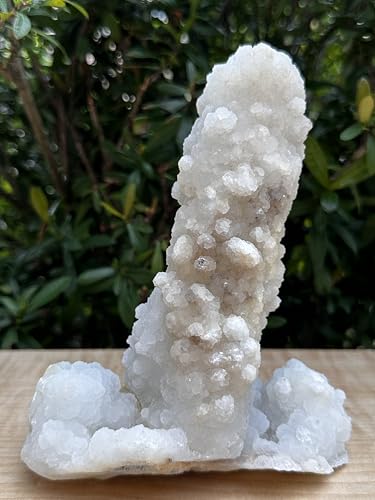 Image of GAF TREASURES Chalcedony & Crystal Quartz Stalactite 3-8 inch, Natural Quartz on Chalcedony Stalactite Specimen (2-3 lb)
