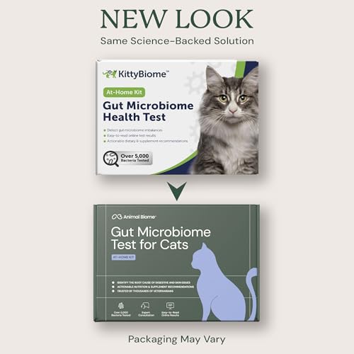 Image of AnimalBiome Cat Gut Health Microbiome Analysis Kit - Kitty Biome Gut Testing Kit, Feline Fecal Analysis for Digestive Issues, Diarrhea & Allergy Insights w /Personalized Report (Cats Outside US)
