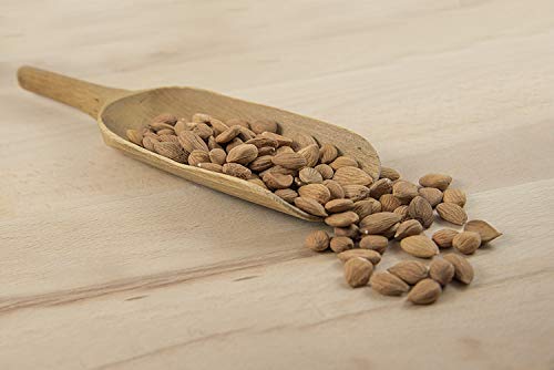 Bio Aprikosenkerne bitter Qualität extra herb 500g - hoher Bitteranteil, naturbelassen, extra herb, wenig Bruchanteil, ungeschwefelt, aus kontrolliert biologischem Anbau, ohne Pestizide