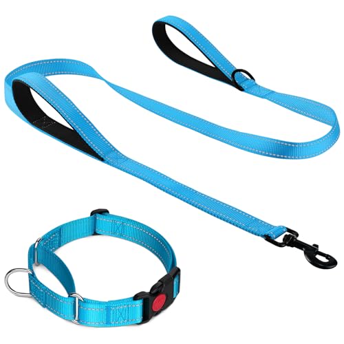 Joytale Martingale Dog Collar(16-20"), 6FT Double Handle Dog Leash for Training, Sky Blue