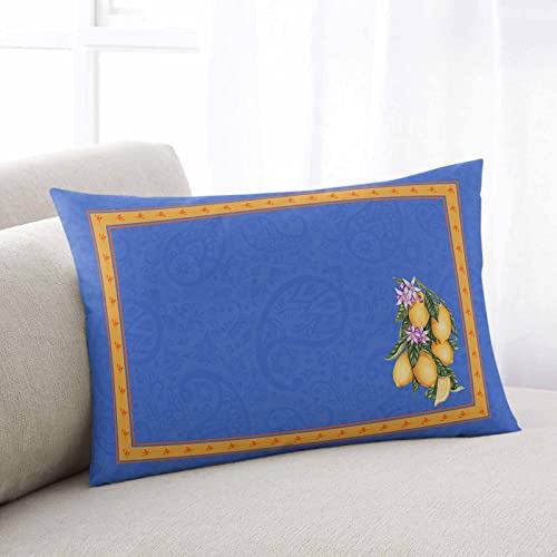 Outdoor Throw Pillow Farm Lemon Flower Waterproof Pillow Covers With Insert,Soft Throw Pillows Cushion Set Of 2,Blue Mandala Paisley Floral Yellow Border Patio Pillow Pillowcase For Couch,Sofa,Chair #TOP1
