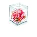 Produktbild Cep Papelera transparente 8,2x8,2xH9,4cm
