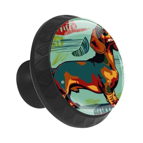 Boutons en verre de cristal durable teckel pour armoire chic - 3