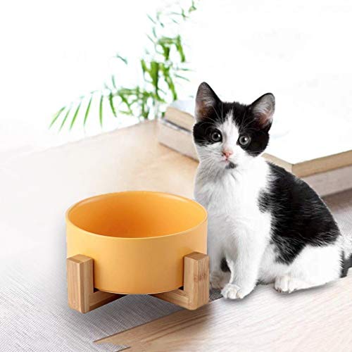 llkajes Ceramic Raised Pet Bowls Dog and Cat Water Food Basic Bowls