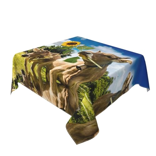 Nappe carrée 152x152 imperméable pour cuisine et table de jardin