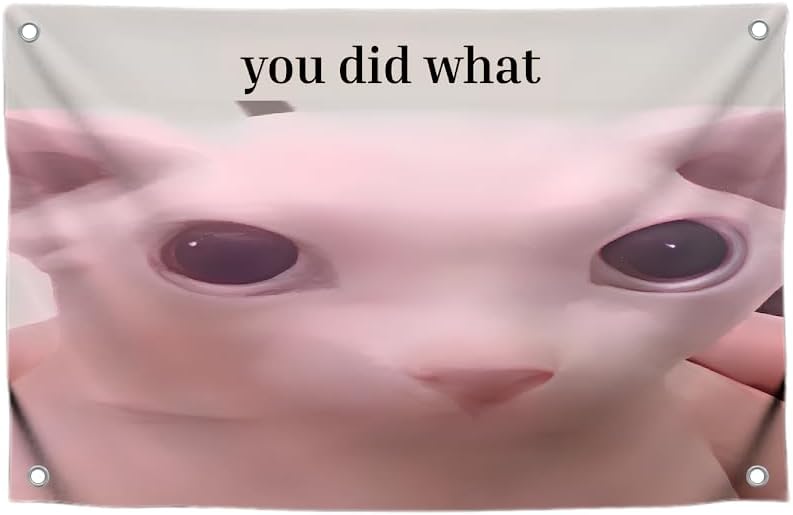 3x5 Feet Cats Meme Flag with Quote "You Did What" with Four Brass Grommets - Polyester Funny Cat Banner for Outdoor or Indoor Decor - Single Sided Tapestries Party or Wall Room Decoration