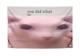 3x5 Feet Cats Meme Flag with Quote 'You Did What' with Four Brass Grommets - Polyester Funny Cat Banner for Outdoor or Indoor Decor - Single Sided Tapestries Party or Wall Room Decoration