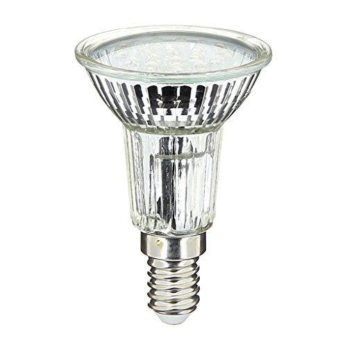 Xanlite ALV21V Lampadina da 21 LED 1,4 W E14