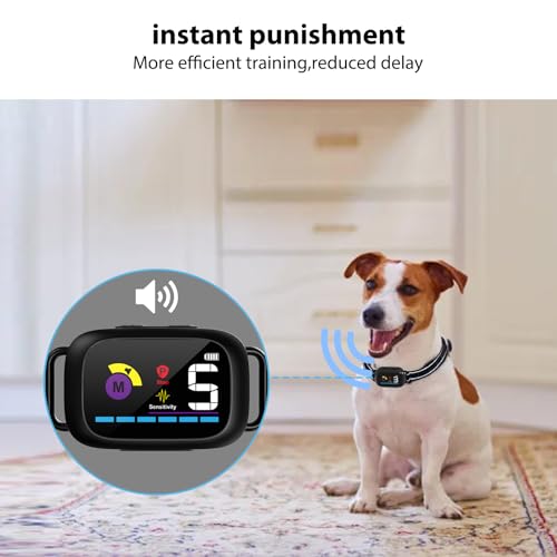 Training Tips for Dog Bark Control