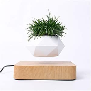 TOMHY Modern Desktop Planter, Magnetic Levitating Air Bonsai Pot ...