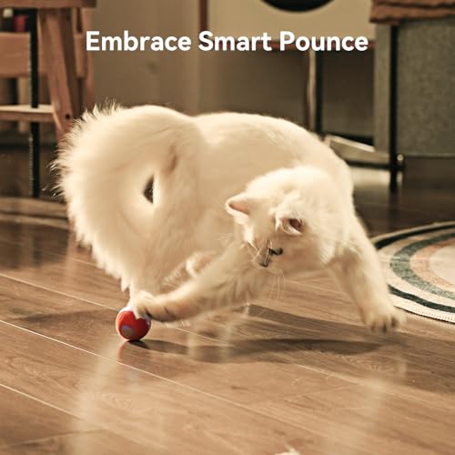 image for Cheerble 【2025 Upgrade】 Interactive Cat Ball Toy, Wicked Ball M3, 