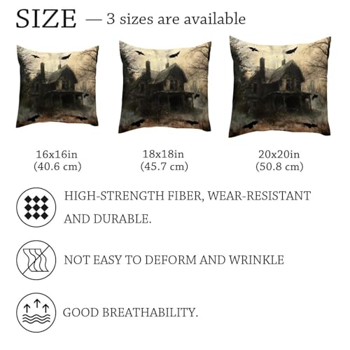 Housse de coussin velours 50x50 Flying Crows cabine