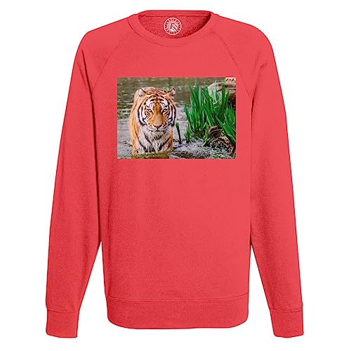 Sweatshirt Homme Photo Baignade du Tigre vêtement chaud contre le froid