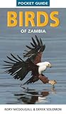 zambia news  Guide Birds of Zambia (Pocket Guides)