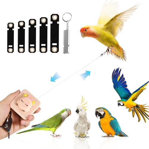 Image of Bird Leash, Elyssnova 2024 New Bird Harness, Retractable Parrot Leash, Used for Bird Flight Training, 0-20 Feet Freely Adjustable, Suitable for Various Birds