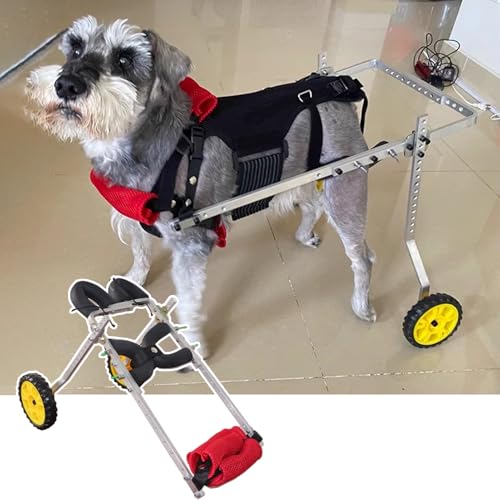 Fauteuil roulant pour chien réglable pour de belles promenades en taille XS
