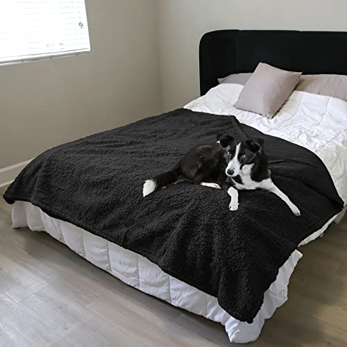 Catalonia Classy Wasserdicht Decke, Kuschelig Sherpa Wasserdicht Kuscheldecke, Wasserfeste Hundedecke Katzendecke, Wasserabweisende Sofa Schutzdecke Bett Überwurf, L 150x200