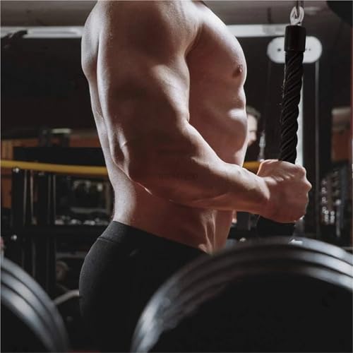 Machine de musculation : corde pour triceps robuste à prise simple pour bras