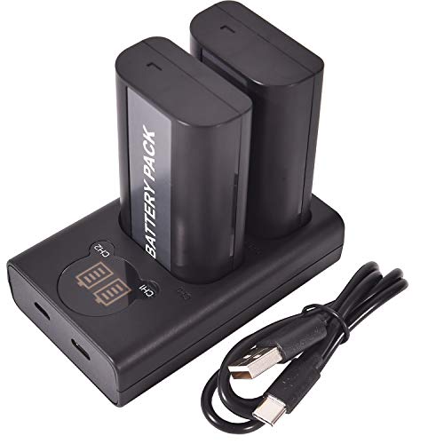 DSTE DMW-BLJ31 Batterie Rechargeable (Paquet de 2) et Chargeur Double USB Smart LED Compatible avec Panasonic Lumix S1, Lumix S1R, Lumix S1H, DMW-BGS1R