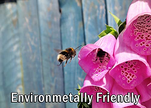 Gff Grass Flip Flops Pre-Filled Seed Packets “Save The Bees” (Pack Of 24) Assorted Bee Friendly Flower Packets - Great Gift For Party Favors, Wedding, Showers, Thank You, Corporate Events, Memorials #TOP6
