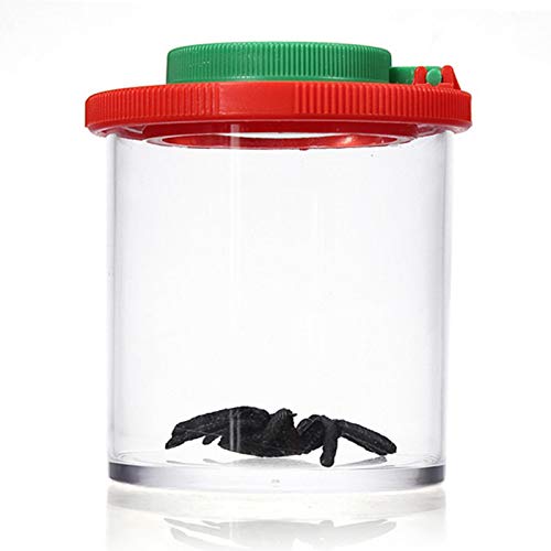 Hameio Boîte Loupe À Insecte - Jeu Éducatif, Boite Loupe Observation Insectes Spectateur Lentille Grossissement Jouet Enfant, Laboratoire D'observation pour Insectes Cover