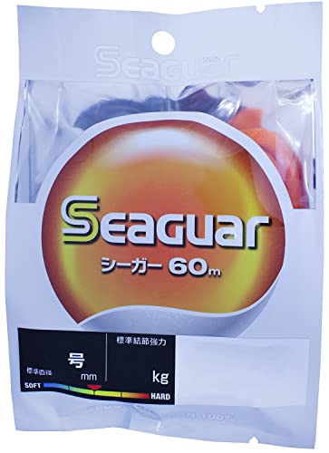 V[K[(Seaguar) nX V[K[ 60m 10