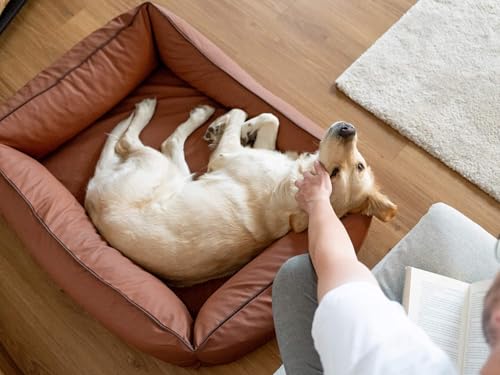 TrendPet Runa, Orthopädisches Kunstlederbett für Hunde, modisch in Kupfer und Grau (Kupfer, 100x75x30 cm)