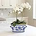 Arborus Blue and White Ceramic Planter Pot – Vintage Floral Oval Cachepot Vase for Indoor Plants, Flowers & Succulents – Glazed Chinese Porcelain Style Decorative Bowl – 7.4