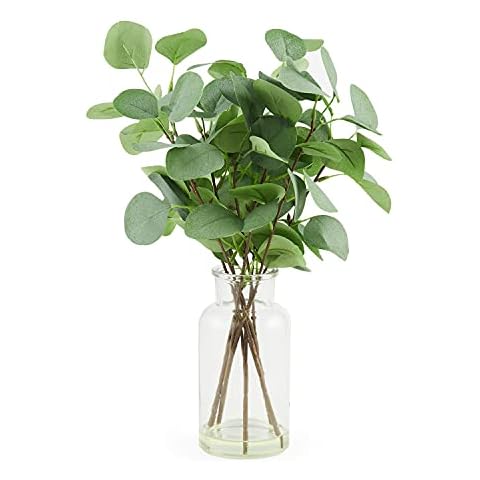 PRIMAISON Artificial Eucalyptus Green Leaves Long Stems Branches Faux Eucalyptus Greenery Stems Leaves Spray Greenery Decor for Home Wedding Party Whaline Cover