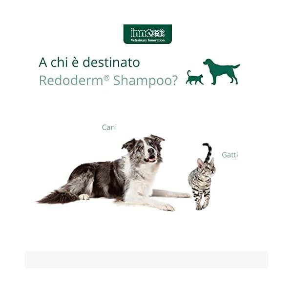 Innovet Redoderm Shampoo zur sanften Reinigung der Haut und des Fells für Hunde und Katzen - 250 ml Flasche – Bild 5